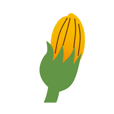 Bilan douance étincelle